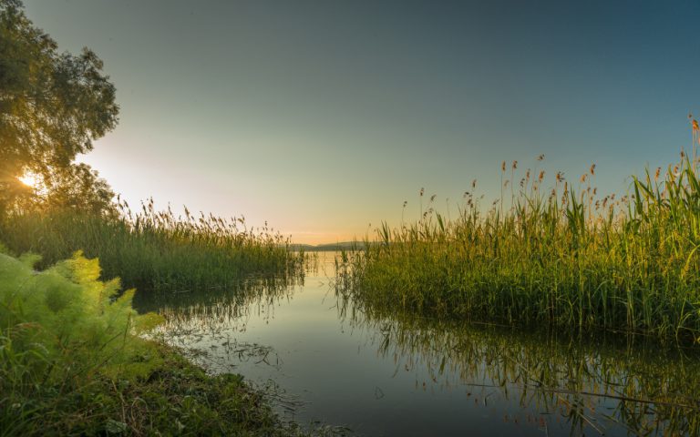 Światło i cień nad warmińsko-mazurskim jeziorem