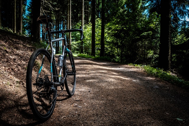 Podkarpackie szlaki rowerowe – przygoda w naturze