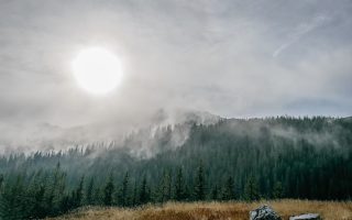 Kulinarna podróż po Lubuskiem – regionalne przysmaki