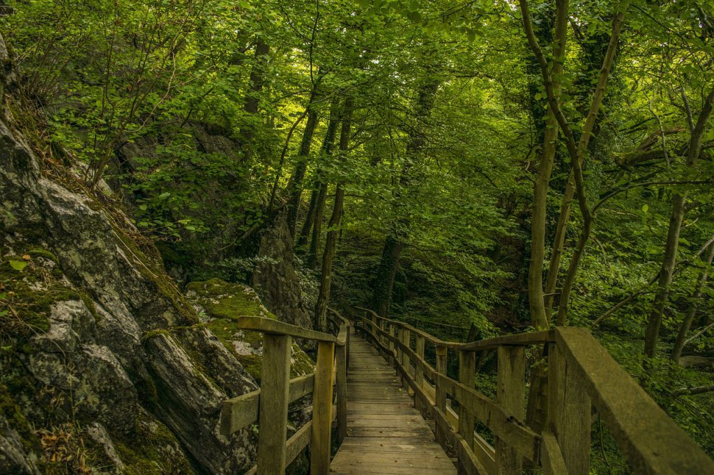 Piesze szlaki Kujawsko-Pomorskiego – blisko natury