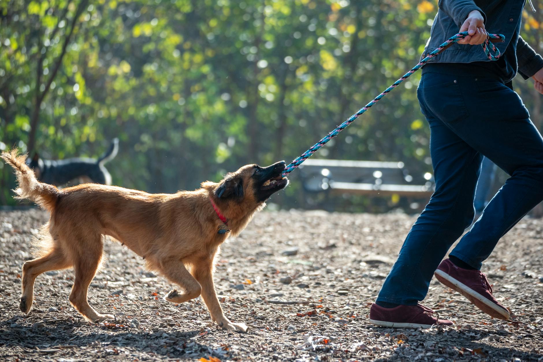 Rezerwat przyrody

<p>Rezerwat przyrody Łęgi nad Tanwią to miejsce, które zachwyca swoją naturalną urodą i spokojem. Odwiedzając ten rezerwat, można dostrzec malownicze brzegi rzeki, bogate życie ptaków oraz cieszyć się spokojem atmosfery. To idealne miejsce dla miłośników obserwacji ptaków oraz spacerów w otoczeniu dzikiej przyrody. Szlak prowadzący przez rezerwat oferuje możliwość odkrywania unikalnych gatunków roślin i zwierząt, tworząc niezapomniane doświadczenie z naturą.</p>
<p>Łęgi nad Tanwią</p>
<p>Rezerwat przyrody  to prawdziwa oaza spokoju i piękna przyrody, która zachwyca odwiedzających swoimi malowniczymi brzegami rzeki, bogatym życiem ptaków oraz spokojną atmosferą sprzyjającą obserwacji ptaków i relaksującym spacerom. To miejsce, które zaprasza do oderwania się od codzienności i zanurzenia się w harmonii natury. Spacerując po <strong>Łęgach nad Tanwią</strong>, można poczuć bliski kontakt z dziką przyrodą i cieszyć się urokiem otaczającego krajobrazu.</p>
<p>” /></p>
<h2>Rezerwat przyrody</p>
<p>Rezerwat przyrody Łęgi nad Tanwią to miejsce, które zachwyca swoją naturalną urodą i spokojem. Odwiedzając ten rezerwat, można dostrzec malownicze brzegi rzeki, bogate życie ptaków oraz cieszyć się spokojem atmosfery. To idealne miejsce dla miłośników obserwacji ptaków oraz spacerów w otoczeniu dzikiej przyrody. Szlak prowadzący przez rezerwat oferuje możliwość odkrywania unikalnych gatunków roślin i zwierząt, tworząc niezapomniane doświadczenie z naturą.</p>
<p>Łęgi nad Tanwią</p>
<p>Rezerwat przyrody  to prawdziwa oaza spokoju i piękna przyrody, która zachwyca odwiedzających swoimi malowniczymi brzegami rzeki, bogatym życiem ptaków oraz spokojną atmosferą sprzyjającą obserwacji ptaków i relaksującym spacerom. To miejsce, które zaprasza do oderwania się od codzienności i zanurzenia się w harmonii natury. Spacerując po <strong>Łęgach nad Tanwią</strong>, można poczuć bliski kontakt z dziką przyrodą i cieszyć się urokiem otaczającego krajobrazu.</p>
<p></h2>
<p>Be sure to pay attention to the following: Prompt Input Area Applying to Entire List…</p>
<p>Łęgi nad Tanwią</p>
<p>Łęgi nad Tanwią to wyjątkowy rezerwat przyrody, który zachwyca swoją malowniczością i spokojem. Odwiedzając to miejsce, znajdziesz się w otoczeniu malowniczych brzegów rzeki, bogatej awifauny oraz atmosfery sprzyjającej relaksowi i obserwacji ptaków.</p>
<p>nature reserve, known for its picturesque riverbanks, rich birdlife, and tranquil atmosphere, providing a perfect setting for birdwatching and leisurely walks.<html><body></p>
<p>The <strong>Łęgi nad Tanwią nature reserve</strong> is a hidden gem in the Lubelskie region, offering a serene escape into nature’s embrace. This <strong>nature reserve</strong> is renowned for its <strong>idyllic riverbanks</strong> that meander gracefully, creating a picturesque setting that is perfect for peaceful strolls and contemplative moments. The <strong>rich birdlife</strong> that inhabits this area adds a symphony of sounds to the tranquil atmosphere, making it a paradise for birdwatchers and nature enthusiasts alike.</p>
<p>As you wander through the <strong>Łęgi nad Tanwią nature reserve</strong>, you will be greeted by a diverse array of bird species, from graceful herons to melodious warblers, creating a harmonious ecosystem that is a delight to behold. The <strong>tranquil atmosphere</strong> of this reserve envelops you like a warm embrace, allowing you to escape the hustle and bustle of everyday life and immerse yourself in the beauty of the natural world.</p>
<p>Whether you are an avid birdwatcher seeking to spot rare species or simply a nature lover looking for a peaceful retreat, the <strong>Łęgi nad Tanwią nature reserve</strong> offers something for everyone. The <strong>leisurely walks</strong> along the riverbanks provide a chance to reconnect with nature, rejuvenate your spirit, and discover the hidden wonders of this enchanting sanctuary.</p>
<p></body></html></p>
<h2>Puszcza Solska</h2>
<p>Wyrusz w niezwykłą podróż do Puszczy Solskiej, tajemniczego lasu pełnego historii i legend, gdzie każdy krok jest jak odkrywanie zapomnianego świata. To miejsce, w którym potężne drzewa górują nad ukrytymi polanami, a dzikie zwierzęta wprowadzają w zachwyt każdego odwiedzającego. Puszcza Solska to nie tylko zwykły las – to kraina magicznych opowieści i nieodkrytych zakątków, które czekają na swojego odkrywcę.</p>
<p><img decoding=