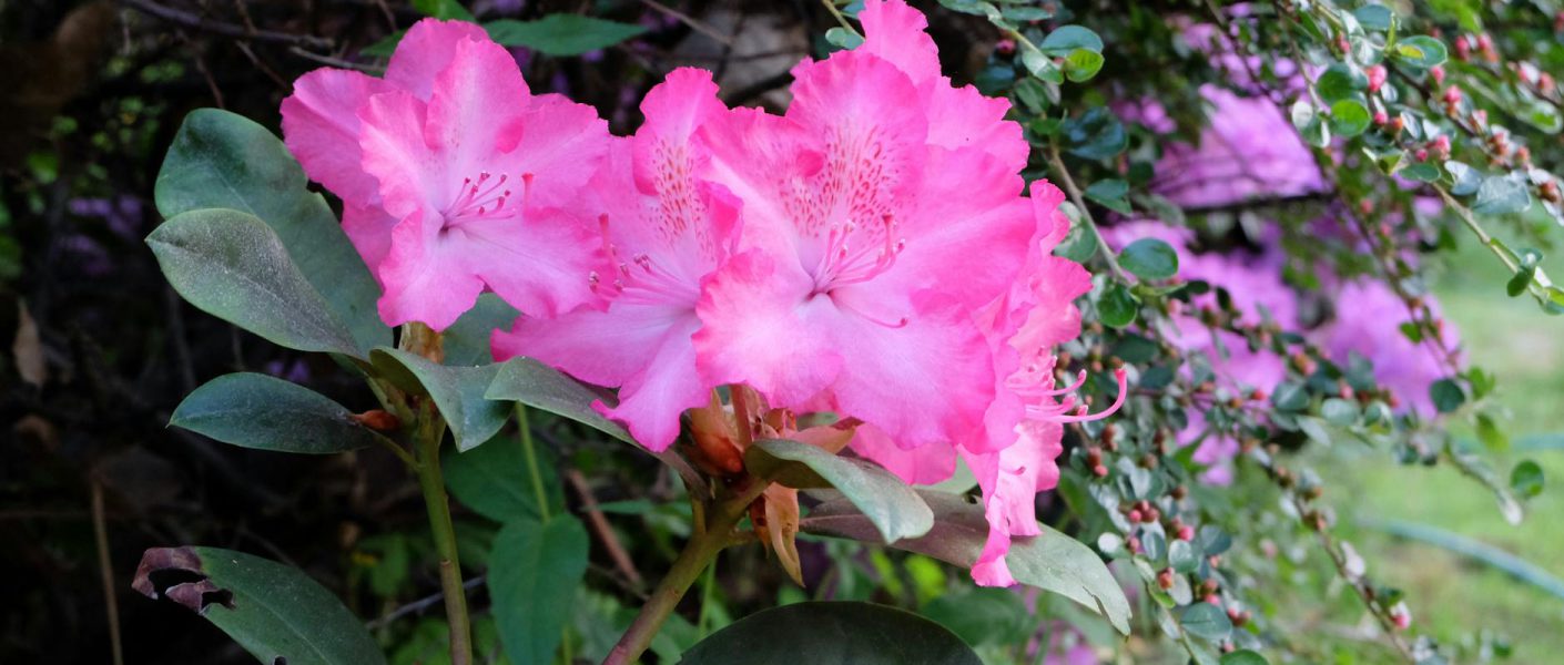 Lubuskie parki krajobrazowe - oaza ciszy i spokoju