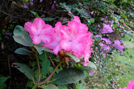 Lubuskie parki krajobrazowe - oaza ciszy i spokoju