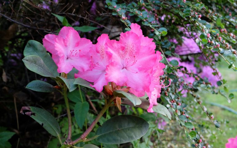 Lubuskie parki krajobrazowe - oaza ciszy i spokoju