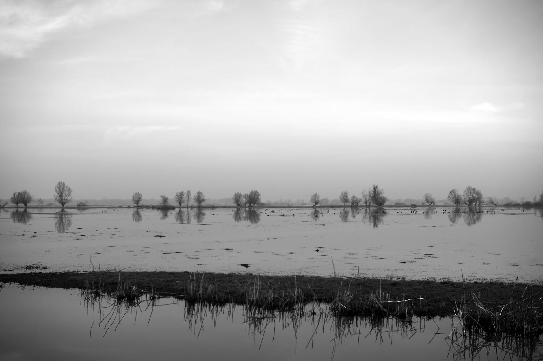 Top Attractions and Activities