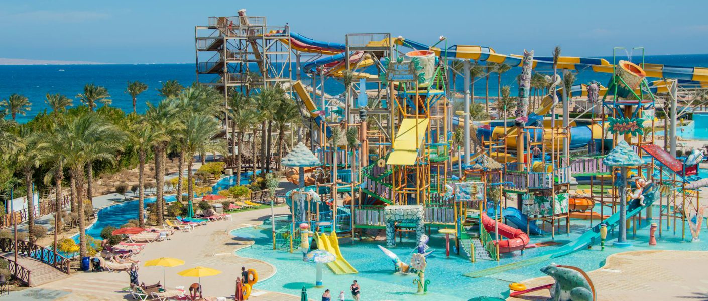 Pomorskie parki linowe – przygoda w koronach drzew