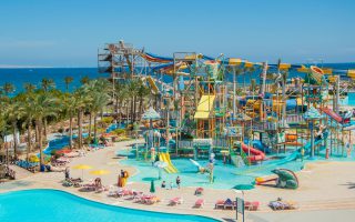 Pomorskie parki linowe – przygoda w koronach drzew