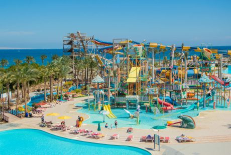 Pomorskie parki linowe – przygoda w koronach drzew