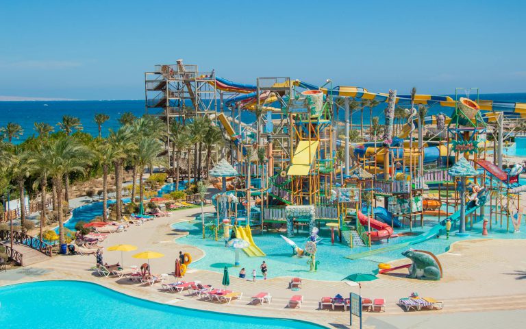 Pomorskie parki linowe – przygoda w koronach drzew