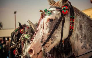 Lubelskie festiwale – sztuka i kultura