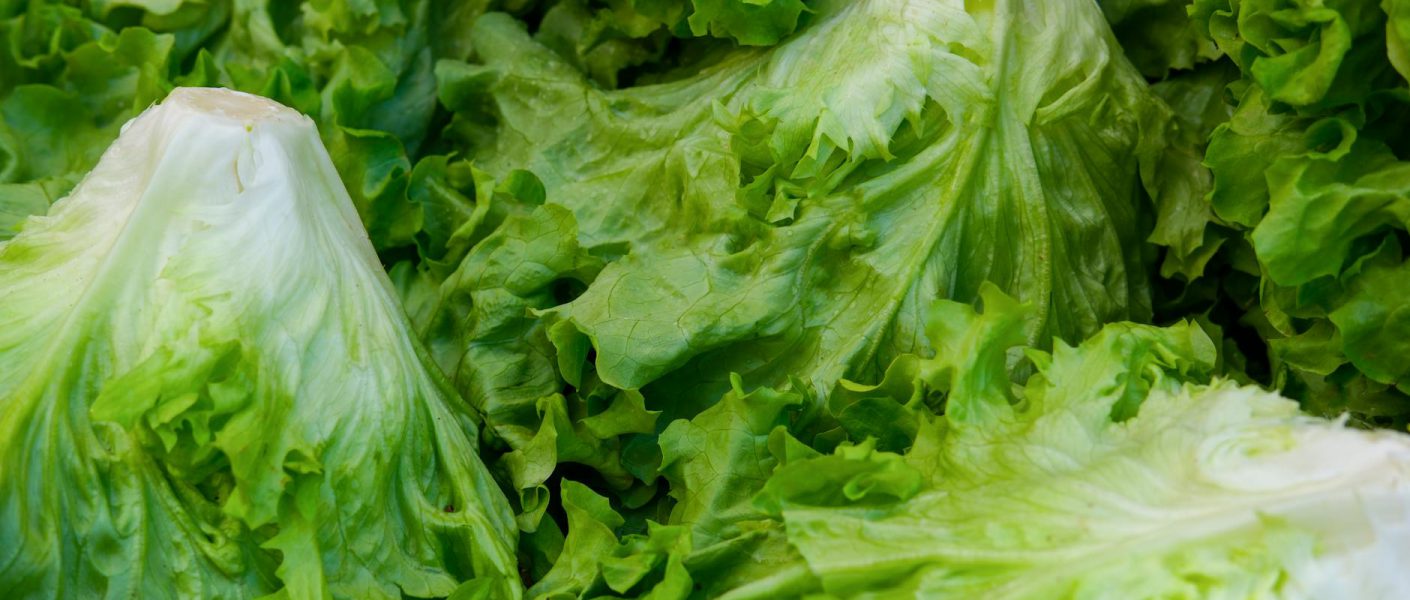 Lubuskie gastronomiczne odkrycia