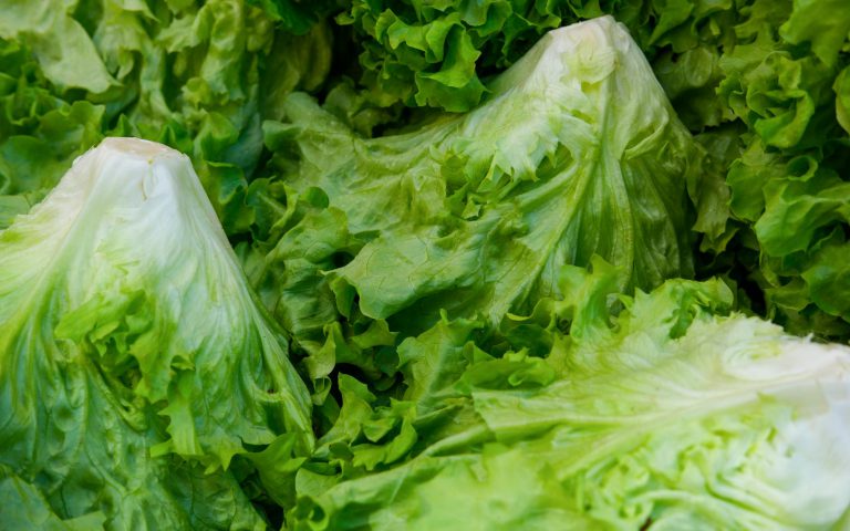 Lubuskie gastronomiczne odkrycia