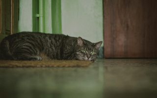 Wydarzenia na Lubelszczyźnie: czego nie możesz przegapić?