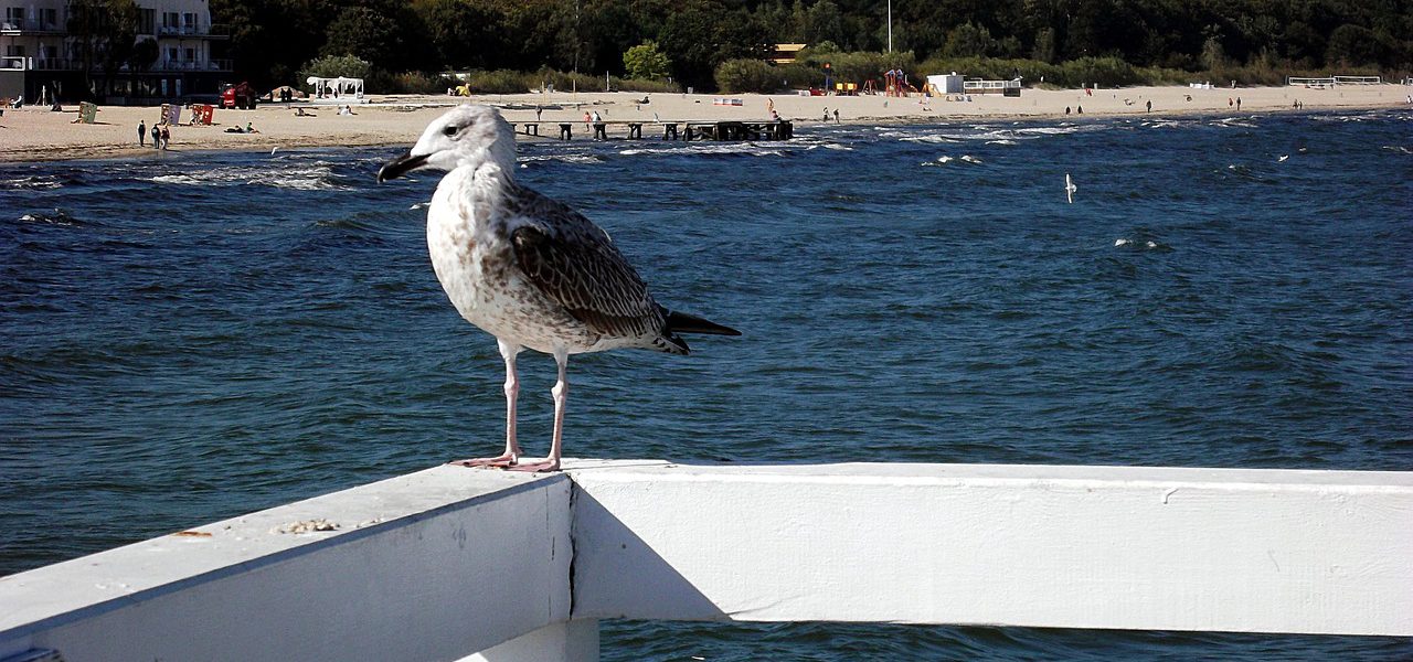 weekend w województwie pomorskim