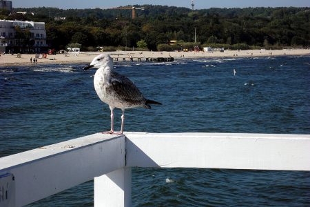 weekend w województwie pomorskim