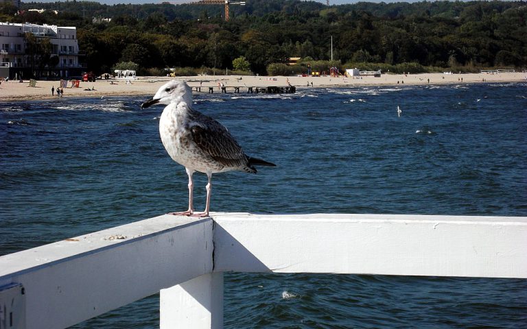 weekend w województwie pomorskim